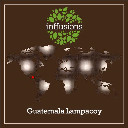 Café de Origen Guatemala Lampacoy, grano, 250 g