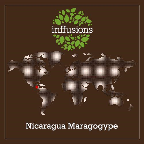 Café de Origen Nicaragua Maragogype, grano, 250 g